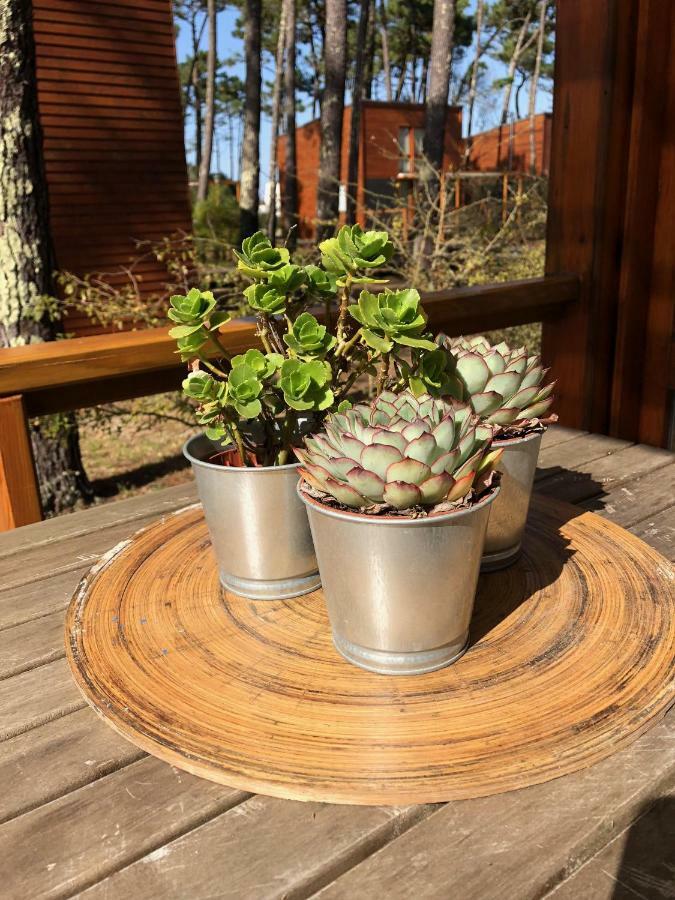 Bungalow B2 - Nature, Beach & River 오피르 외부 사진